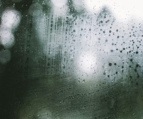 How Much Water Does a Misting System Use?