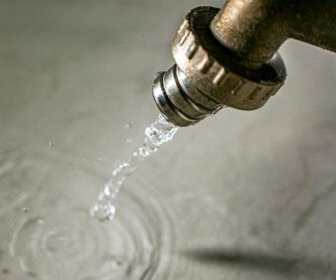 Water Filter vs Water Softener: Which Does Your Home Need?